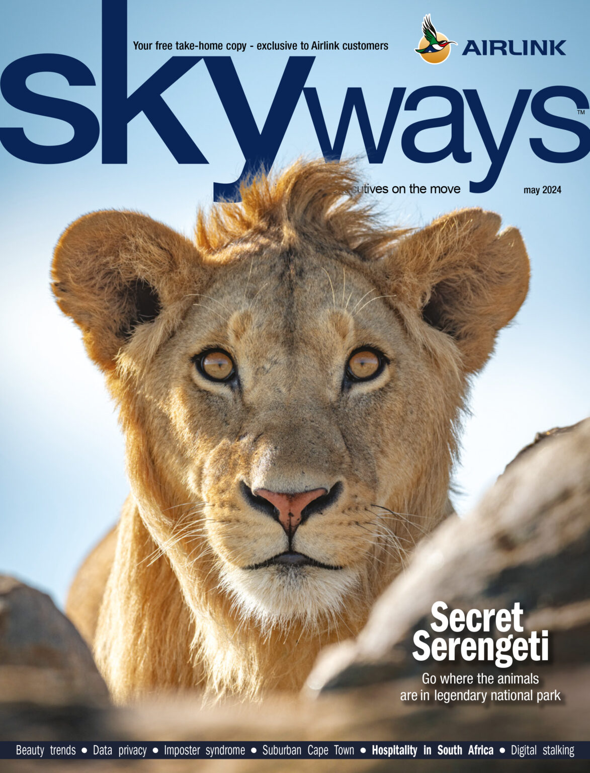 Skyways Magazine